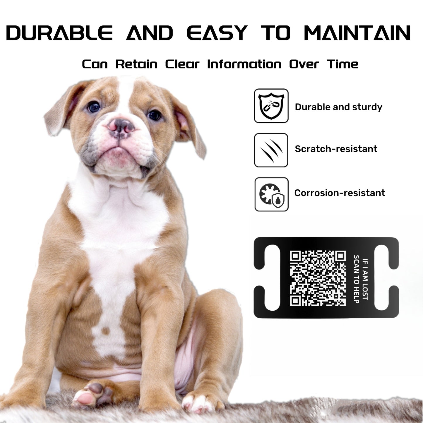 QR Code Smart Dog Tag for Collar with Online Customized Pet Profile & Location Alert – Stainless Steel Personalized Cat Name ID Tags