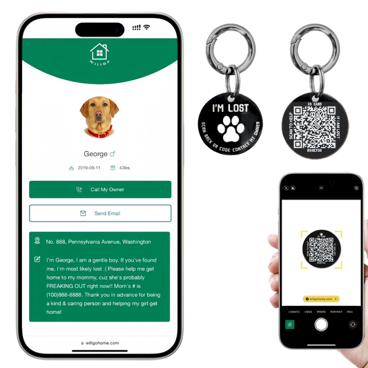 QR Code Smart Dog Tag with Customized Pet Profile & Location Alert – Stainless Steel Personalized Cat Name Tags (1 Pack)