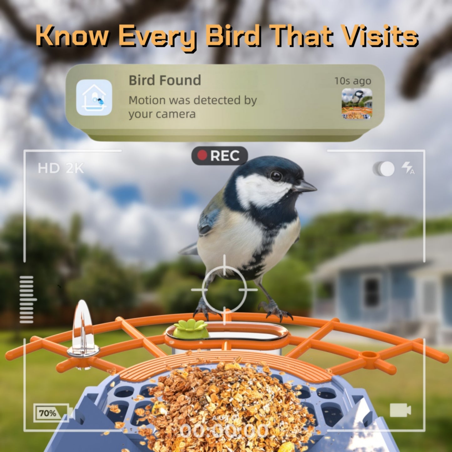 Smart Bird Feeder with Camera Solar-Powered, 1.5L Large Capacity, AI Bird Identification for 13,000+ Species, Auto Capture & Real-Time Notifications