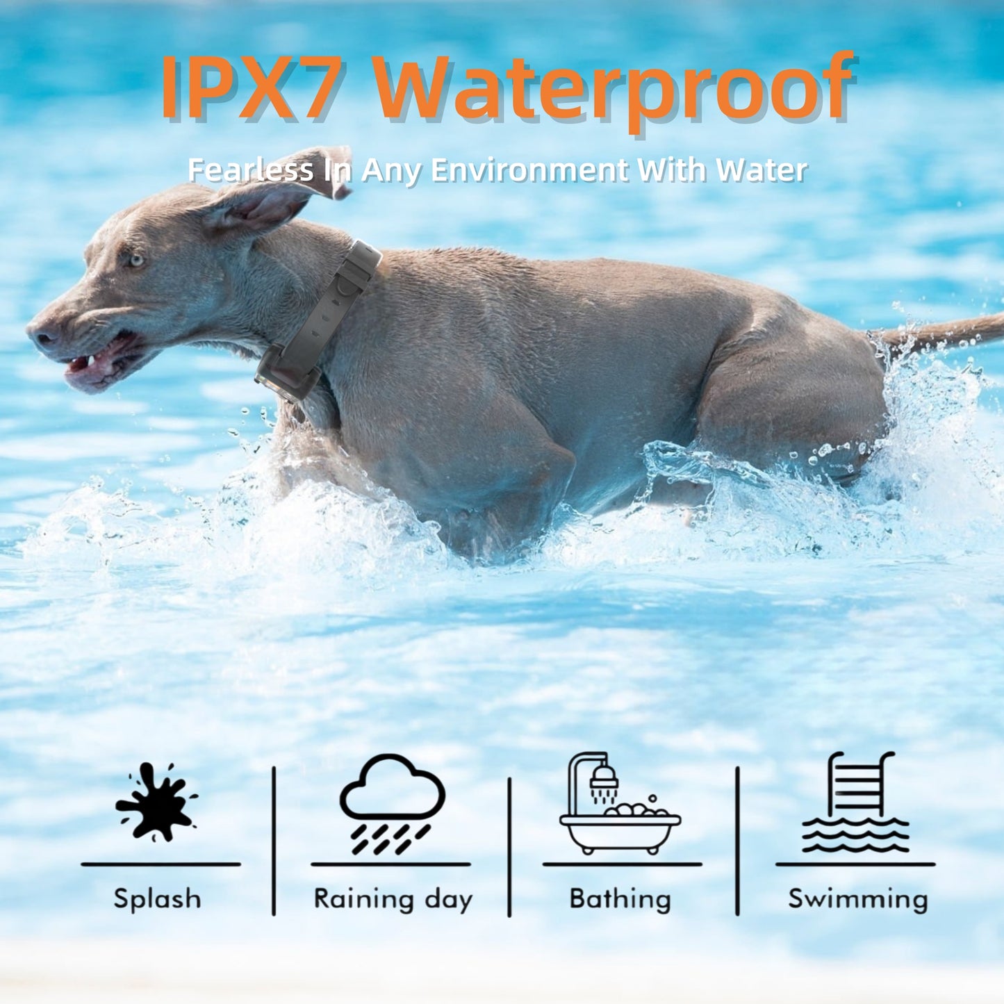 GPS Wireless Dog Fence System, Custom Polygon Boundary Electric Fence for Dogs with Adjustable Warning Strength, Safe Zone Radius 49-6561Ft, IPX7 Waterproof Invisible Fence