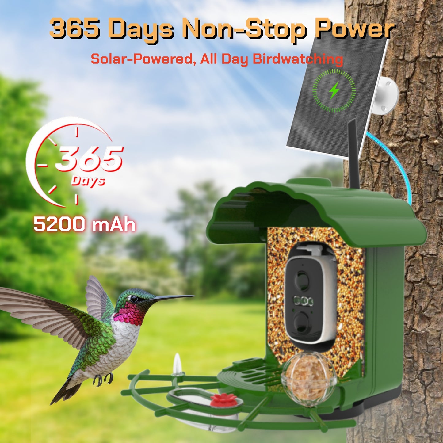 Smart Bird Feeder with Camera Solar-Powered, 1.5L Large Capacity, AI Bird Identification for 13,000+ Species, Auto Capture & Real-Time Notifications