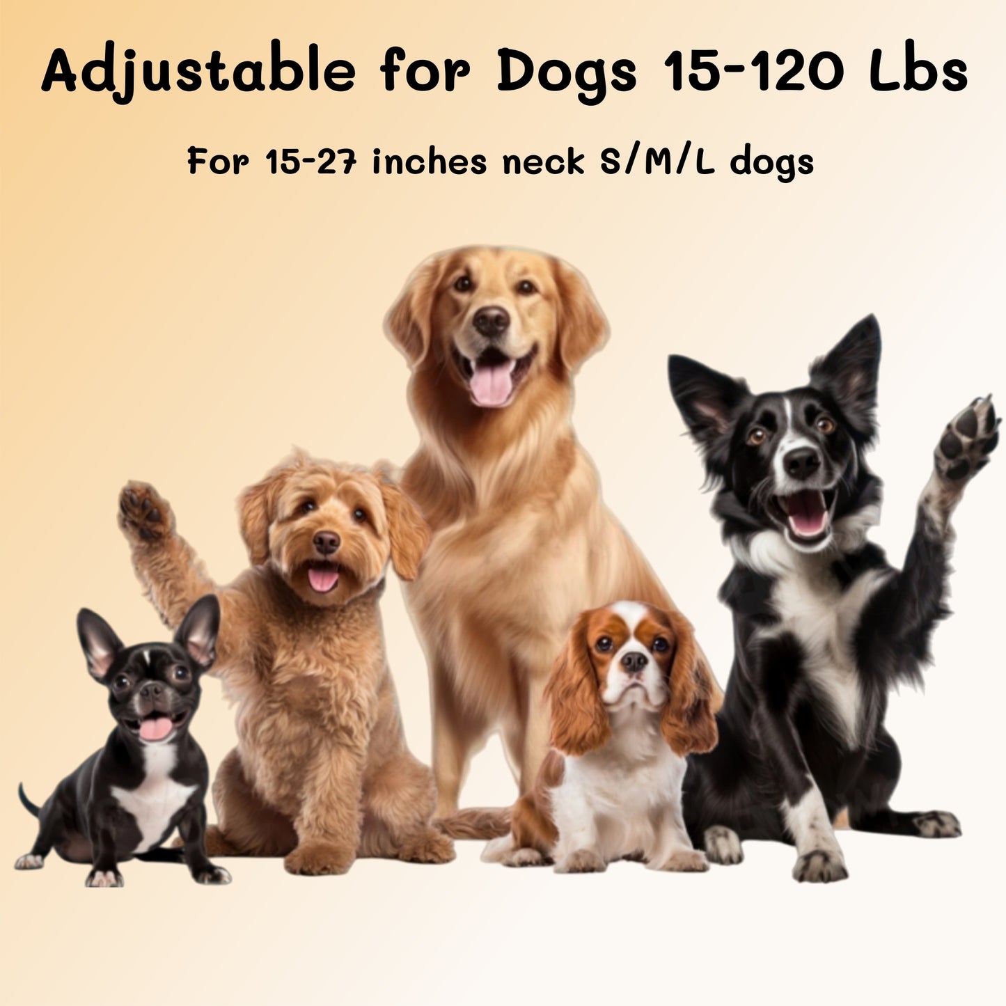 GPS Wireless Dog Fence System, Safe Zone Radius 49-6561Ft, IPX7 Waterproof Wireless Dog Collar, Electric Fence for Dogs with Adjustable Warning Strength Orange