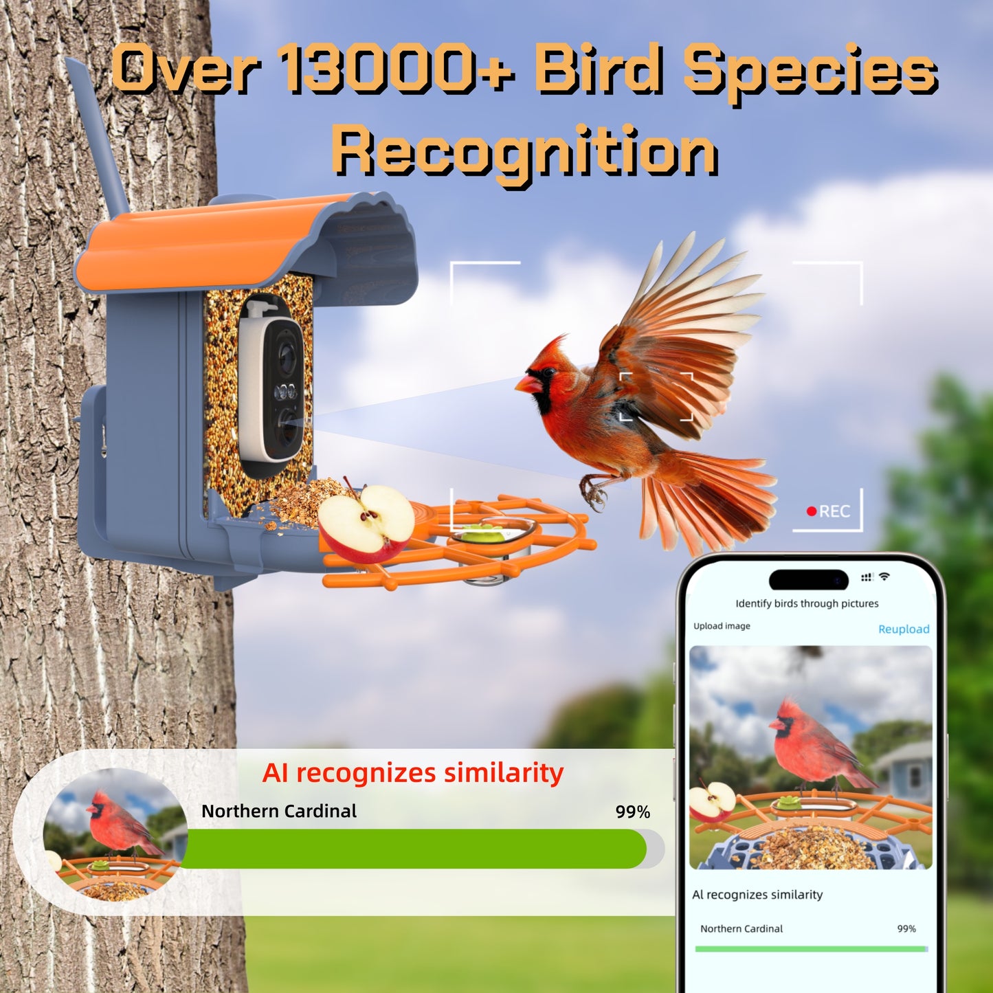 Smart Bird Feeder with Camera Solar-Powered, 1.5L Large Capacity, AI Bird Identification for 13,000+ Species, Auto Capture & Real-Time Notifications