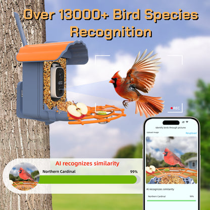 Smart Bird Feeder with Camera Solar-Powered, 1.5L Large Capacity, AI Bird Identification for 13,000+ Species, Auto Capture & Real-Time Notifications