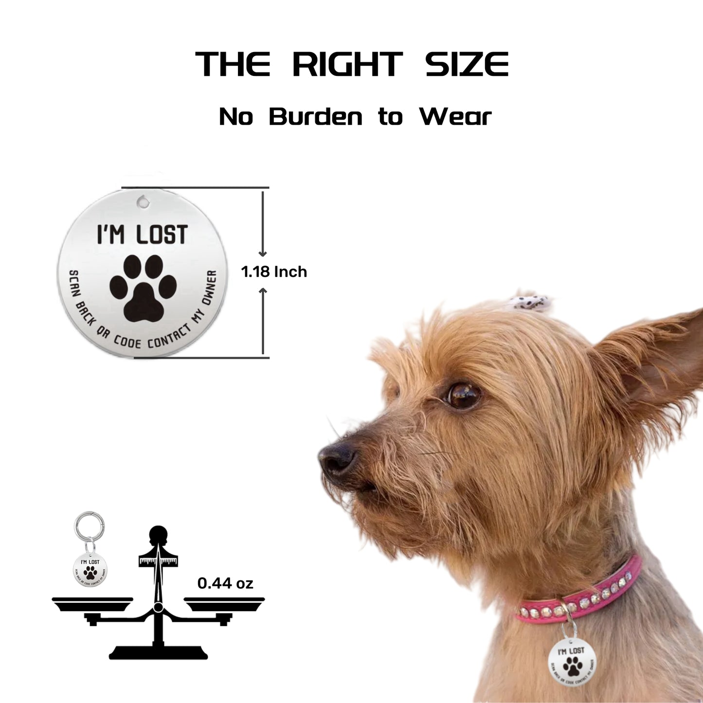 QR Code Pet ID Tags - Stainless Steel Dog Tags and Cat Tags, Modifiable Online Pet Profile, Scan QR Receive Instant Pet Location Alert Email