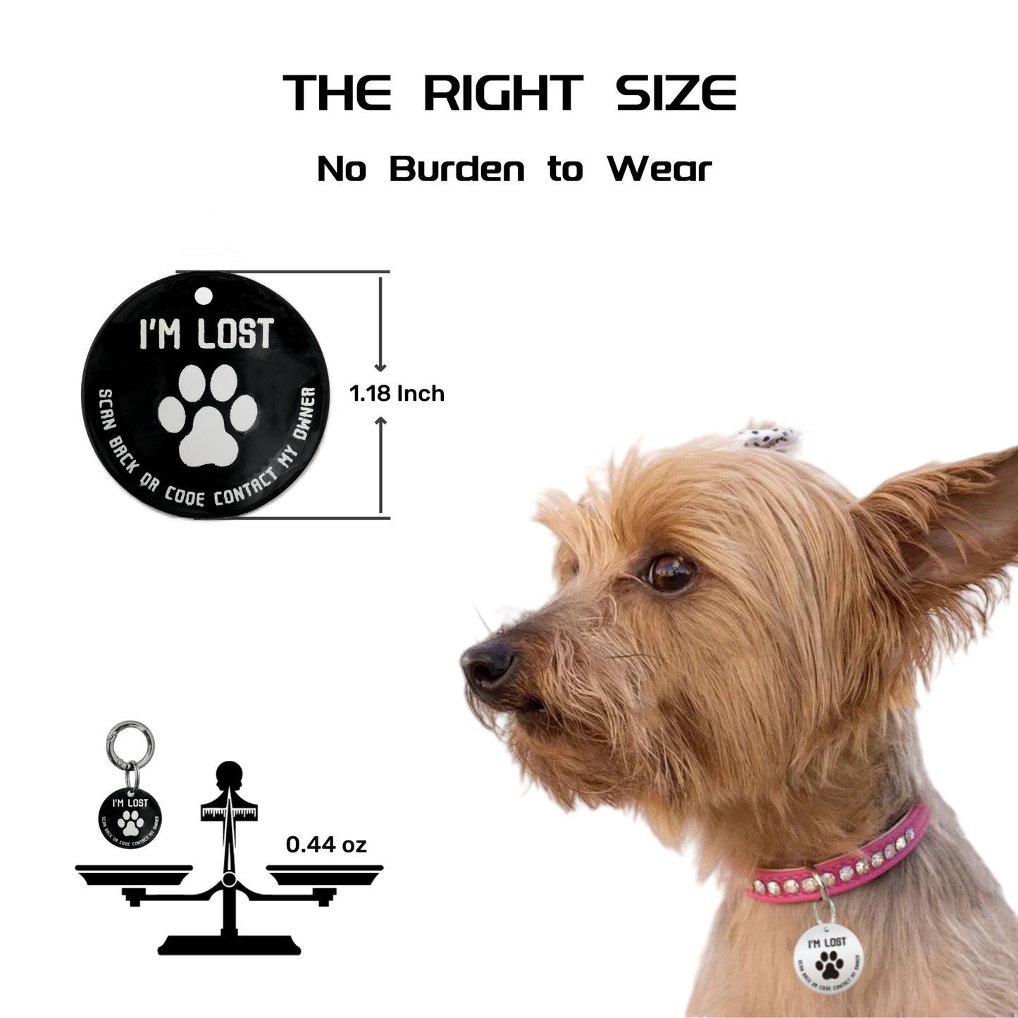 QR Code Smart Dog Tag with Customized Pet Profile & Location Alert – Stainless Steel Personalized Cat Name Tags (1 Pack)
