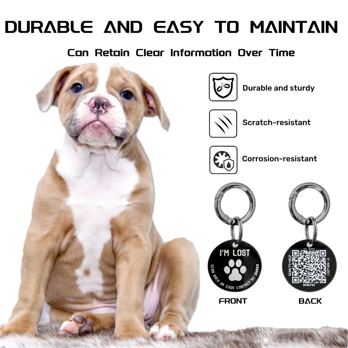 QR Code Smart Dog Tag with Customized Pet Profile & Location Alert – Stainless Steel Personalized Cat Name Tags (1 Pack)