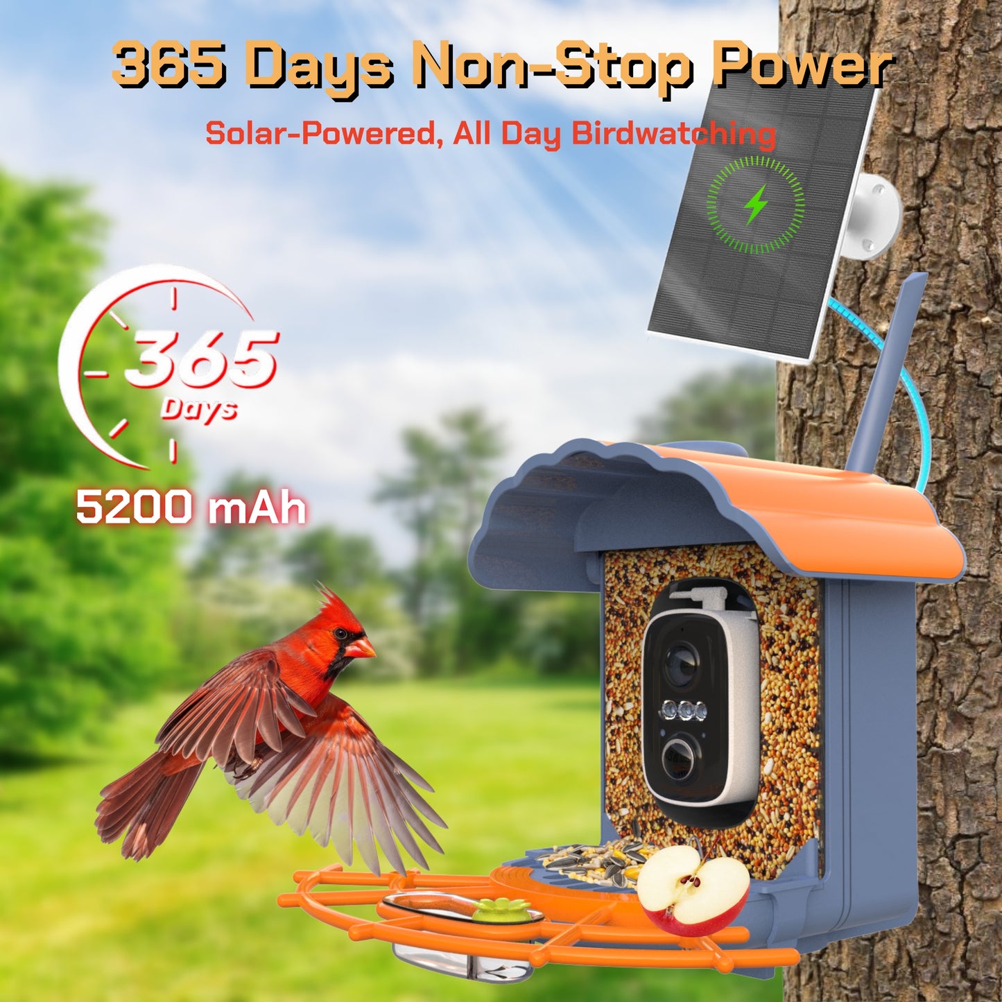 Smart Bird Feeder with Camera Solar-Powered, 1.5L Large Capacity, AI Bird Identification for 13,000+ Species, Auto Capture & Real-Time Notifications