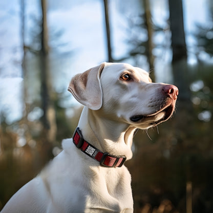 QR Code Smart Dog Tag with Customized Pet Profile & Location Alert – Stainless Steel Personalized Cat Name Tags