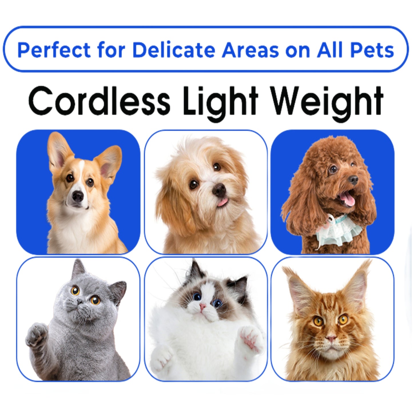 SAMFAT Pet Paw Clippers with LED Lights Rechargeable Pet Grooming Kit Paw Trimmer for Dog and Cat Face Paws Eyes Ears