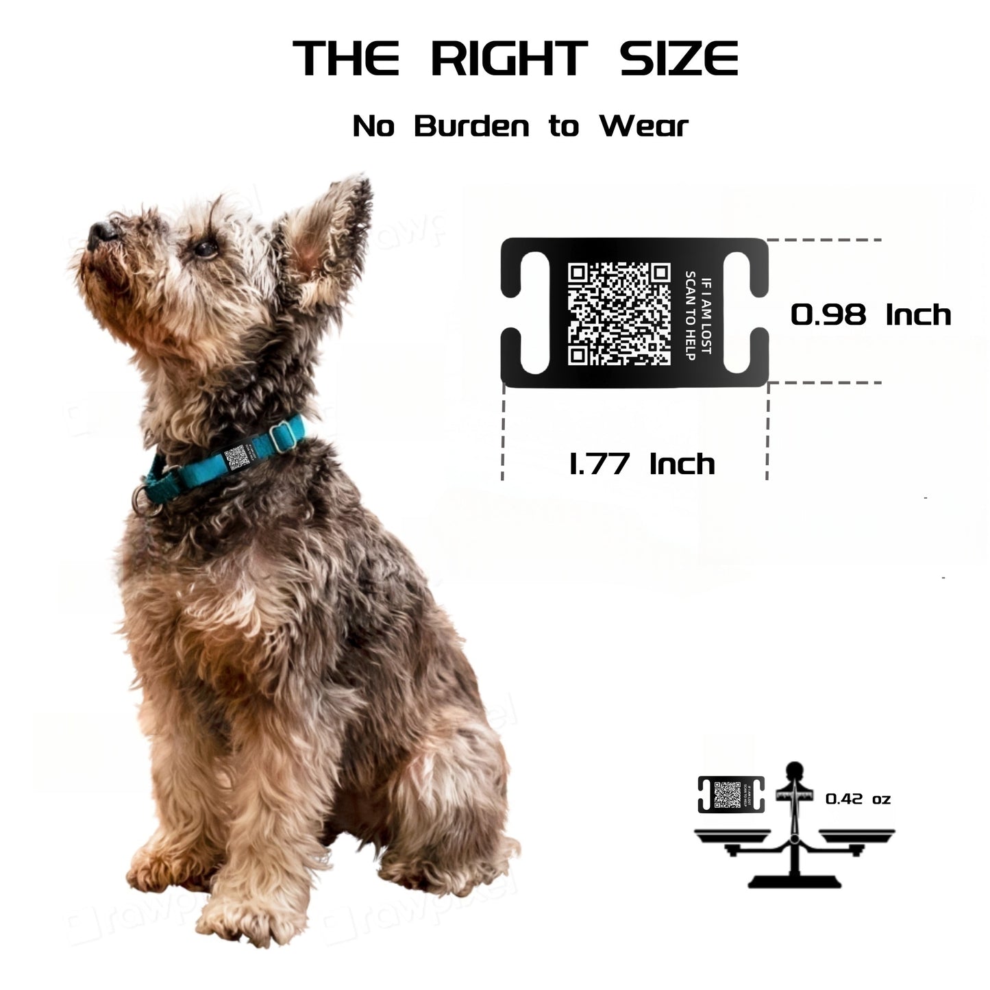 QR Code Smart Dog Tag with Customized Pet Profile & Location Alert – Stainless Steel Personalized Cat Name Tags