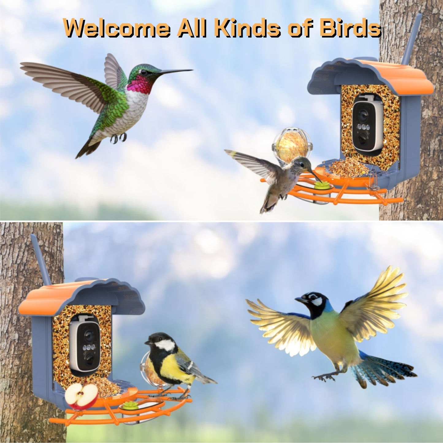 Smart Bird Feeder with Camera Solar-Powered, 1.5L Large Capacity, AI Bird Identification for 13,000+ Species, Auto Capture & Real-Time Notifications