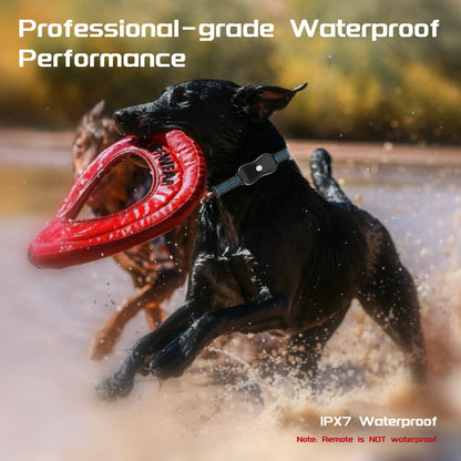 SAMFAT Dog Shock Collar with Remote 3300Ft 3 Correction Modes Rechargeable Training E Collar