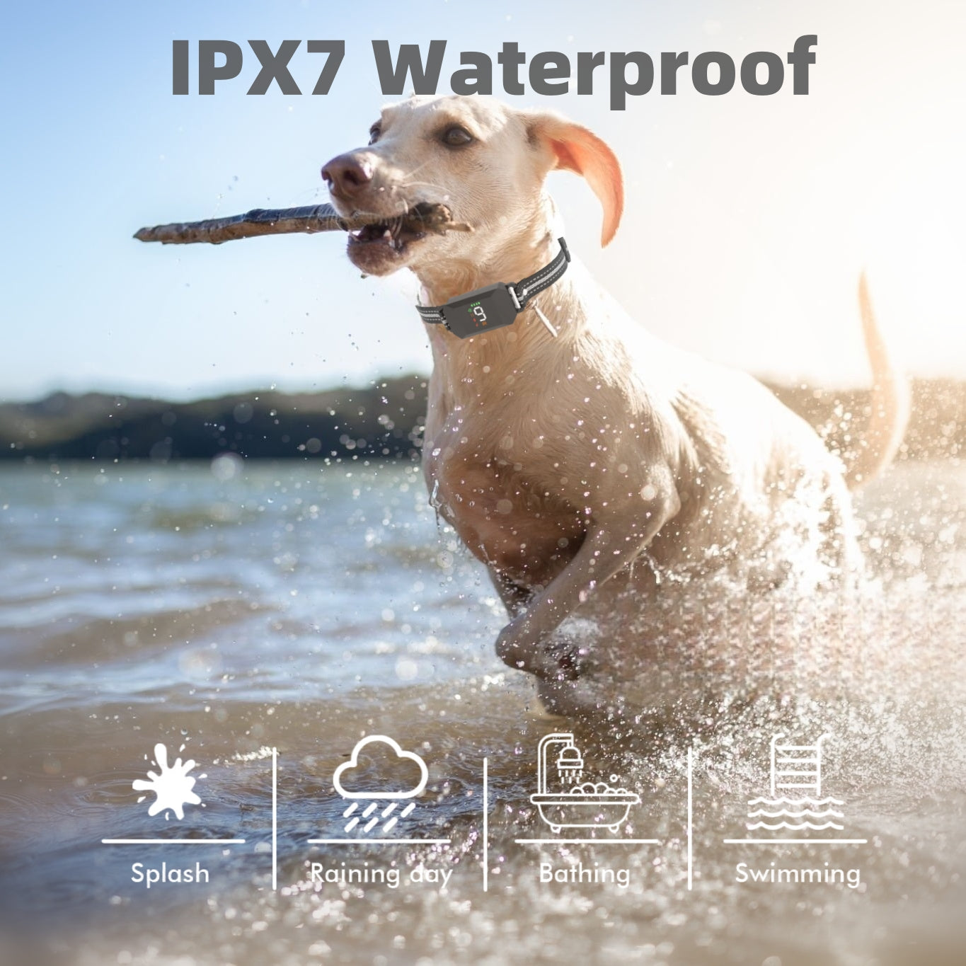 Dog Trining Collar 2 Dogs (8-120lbs) - Shock Collar for Dogs with 4 Correction Modes Rechargeable for Small Medium Large Dogs