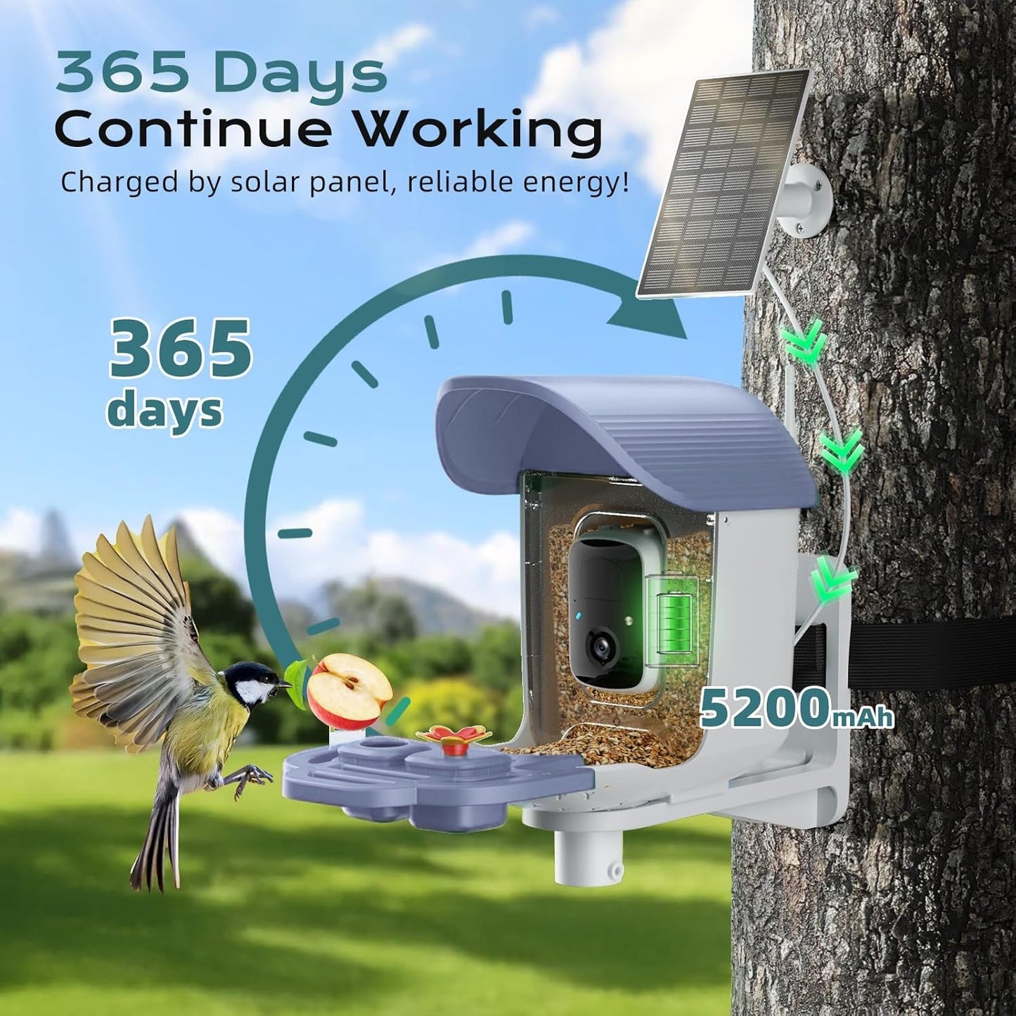 Smart Bird Feeder with Camera, Solar Powered Bird Feeder Camera with AI Bird Identification,  2.5K HD Video Bird House with Camera, Weatherproof Design Ideal Present for Bird Lover