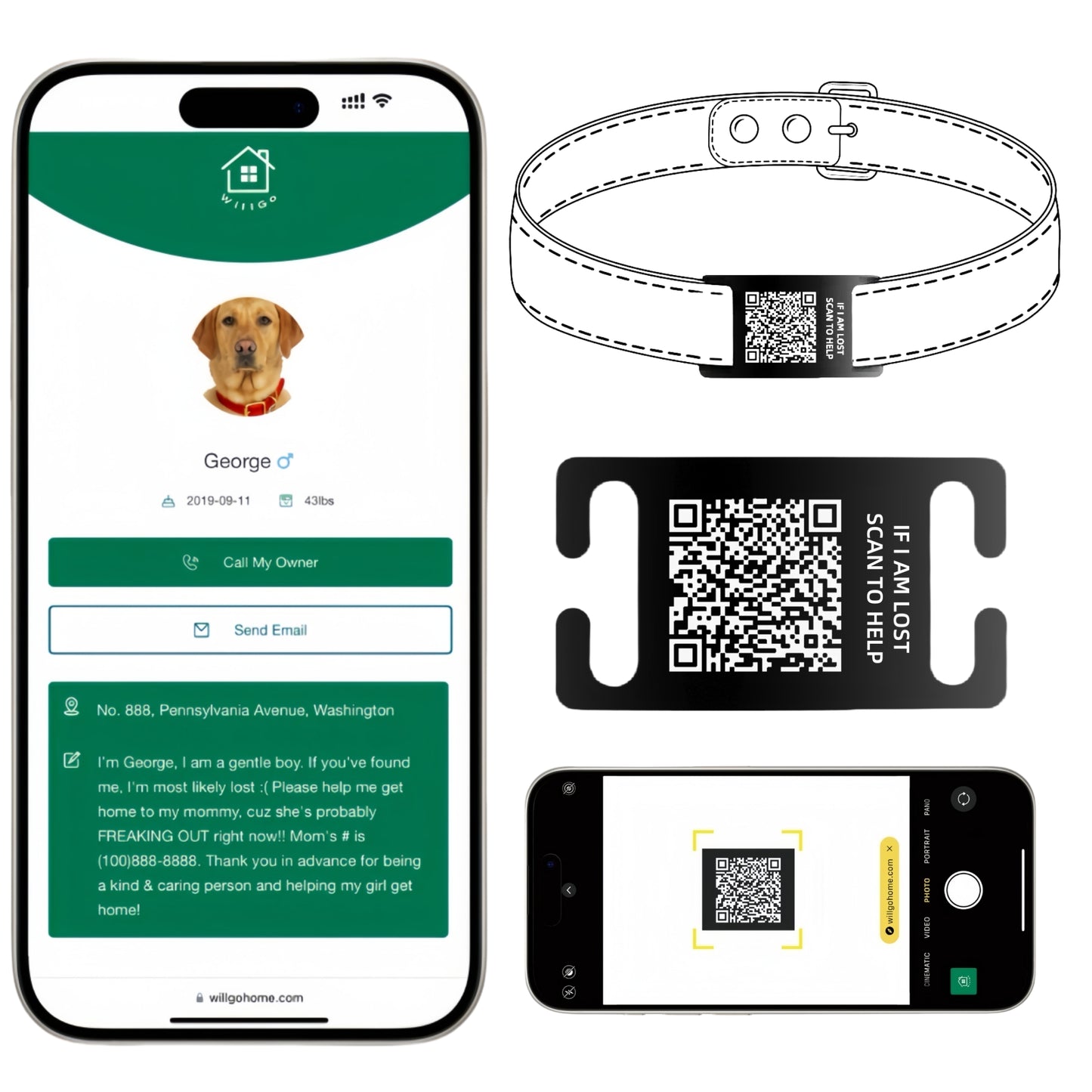 QR Code Smart Dog Tag with Customized Pet Profile & Location Alert – Stainless Steel Personalized Cat Name Tags