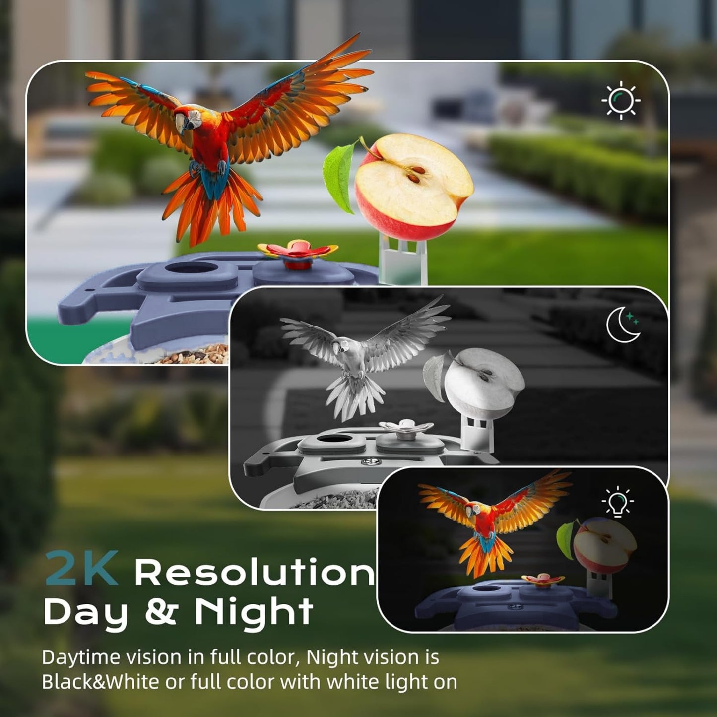 Smart Bird Feeder with Camera, Solar Powered Bird Feeder Camera with AI Bird Identification,  2.5K HD Video Bird House with Camera, Weatherproof Design Ideal Present for Bird Lover