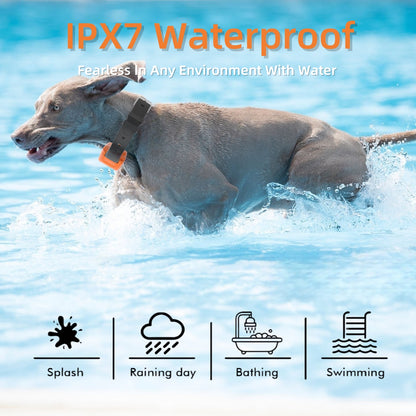 GPS Wireless Dog Fence System, Safe Zone Radius 49-6561Ft, IPX7 Waterproof Wireless Dog Collar, Electric Fence for Dogs with Adjustable Warning Strength Orange