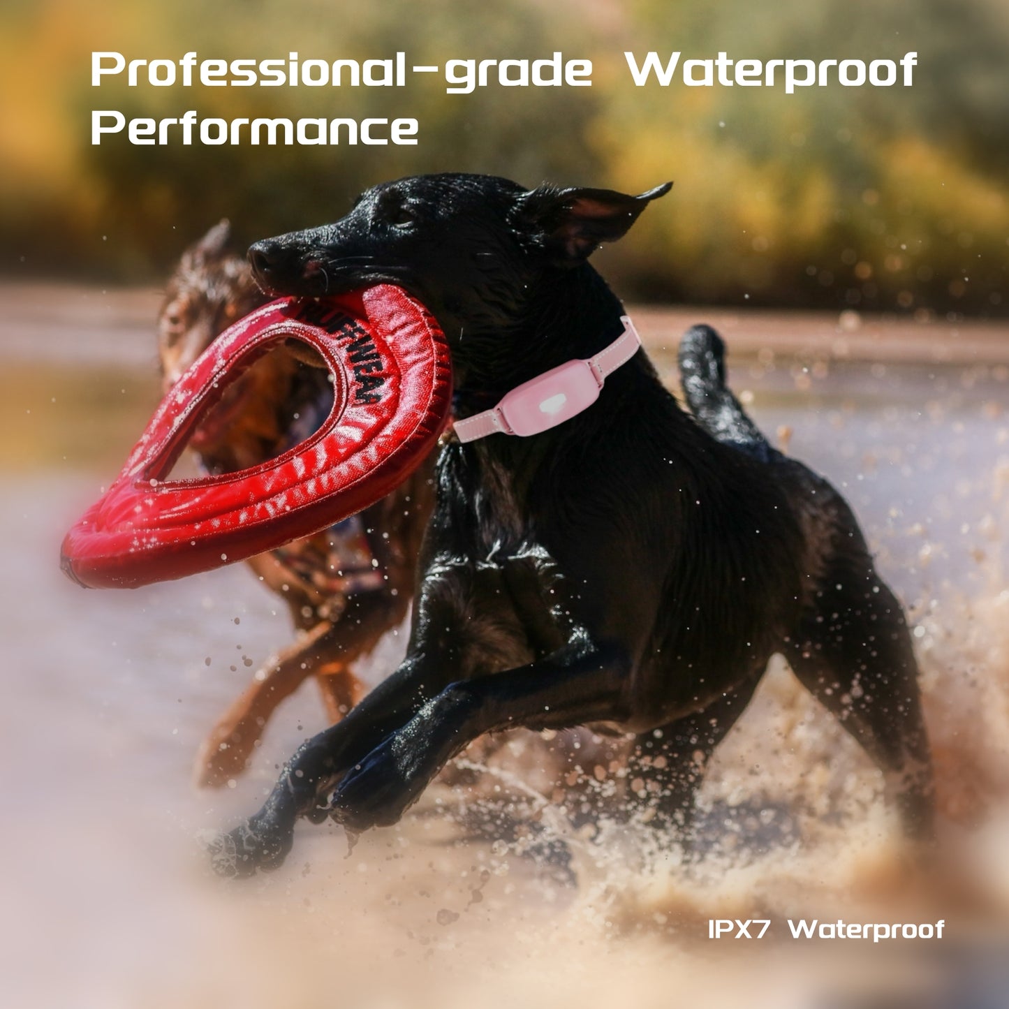 SAMFAT Dog Training Collars with Remote - 3300 Ft Dog Shock Collar with 3 Modes Reminder Vibration Static IPX7 Waterproof Night Light Rechargeable E Collars for Large Medium Small Dogs